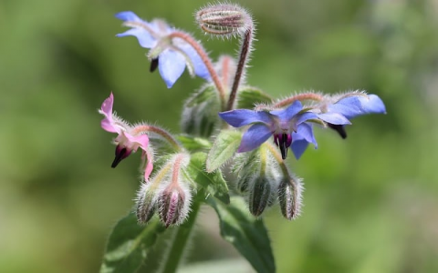 云主机销售系统-VPS联盟