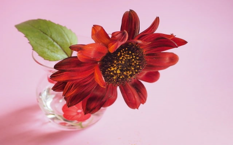 云主机怎么安装网站-VPS联盟