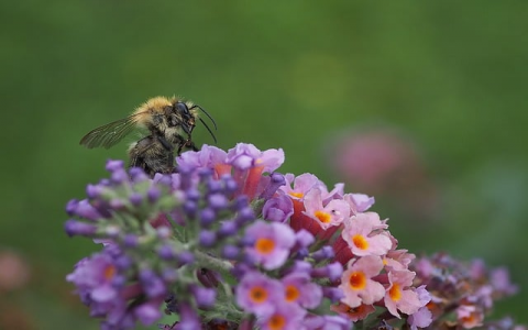 云主机维护-VPS联盟