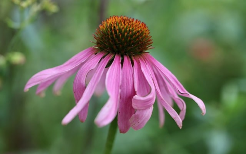 云主机性能如何测试-VPS联盟