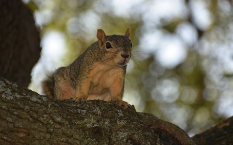 云主机是服务器吗-VPS联盟