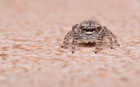 云主机优惠-VPS联盟