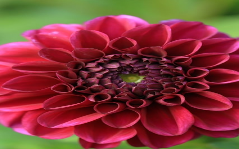 云主机需要备案么-VPS联盟