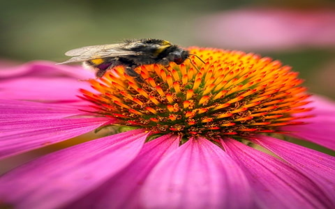 云主机怎么建网站-VPS联盟