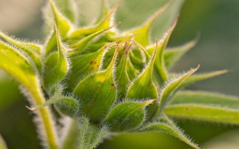 云主机挂游戏-VPS联盟