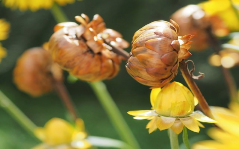 云主机开发端口号-VPS联盟