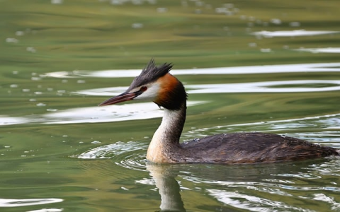 云主机项目部署方法-VPS联盟