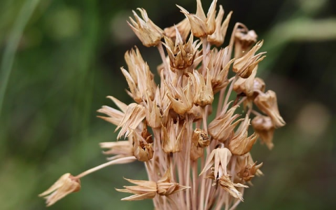 云主机怎么设置404-VPS联盟