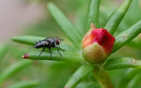 云主机认证密码是什么-VPS联盟