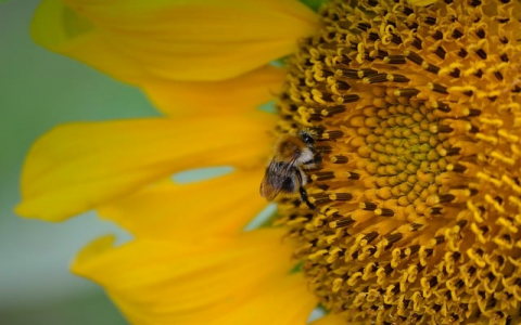 在外国租服务器做那种网站-VPS联盟